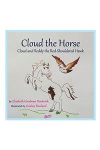 Cloud the Horse