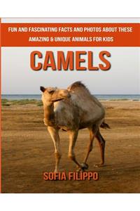 Camels