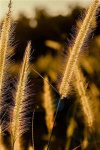 Grass Notebook