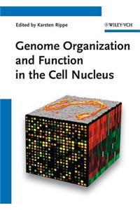 Genome Organization and Function in the Cell Nucleus