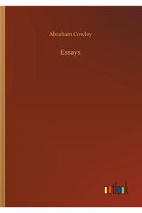 Essays