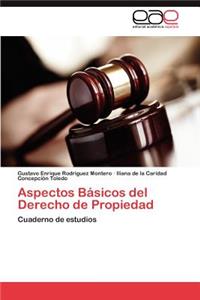 Aspectos Básicos del Derecho de Propiedad