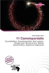 11 Camelopardalis