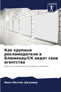 Как крупные рекламодатели в Блюменау/СК вl