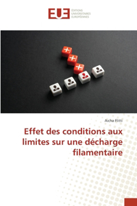 Effet des conditions aux limites sur une décharge filamentaire