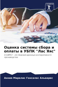 Оценка системы сбора и оплаты в УБПК 