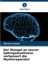 Mangel an saurer Sphingomyelinase verbessert die Myelinreparatur