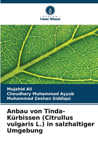 Anbau von Tinda-Kürbissen (Citrullus vulgaris L.) in salzhaltiger Umgebung