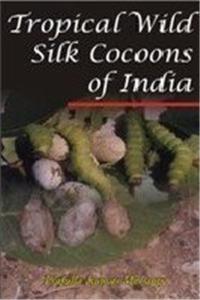 Tropical Wild Silk Cocoons of India