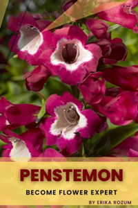 Penstemon