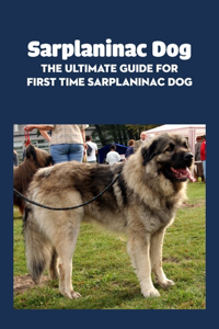Sarplaninac Dog