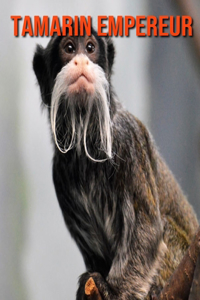 Tamarin Empereur