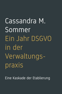 Ein Jahr DSGVO in der Verwaltungspraxis