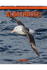 Albatrosse! Ein pädagogisches Kinderbuch über Albatrosse mit lustigen Fakten