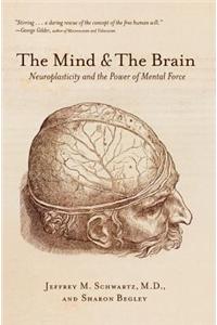 The Mind and the Brain
