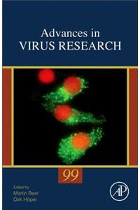 In Loeffler's Footsteps - Viral Genomics in the Era of High-Throughput Sequencing