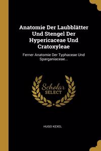 Anatomie Der Laubblätter Und Stengel Der Hypericaceae Und Cratoxyleae