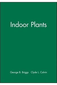 Indoor Plants