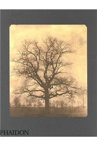 William Henry Fox Talbot