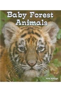 Baby Forest Animals