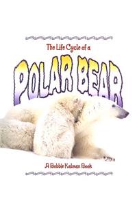 Life Cycle of a Polar Bear