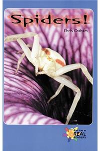 Spiders!
