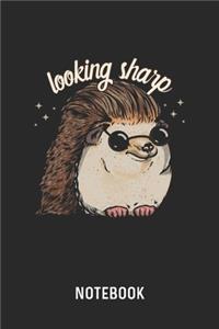 Looking Sharp Notebook