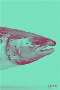 Salmon