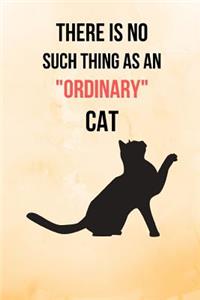 There Is No Such Thing As An Ordinary Cat