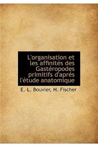 L'Organisation Et Les Affinit?'s Des Gast Ropodes Primitifs D'Apr?'s L' Tude Anatomique