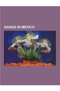 Gangs in Mexico: Mara Salvatrucha, Sinaloa Cartel, La Familia Michoacana, Los Zetas Cartel, Beltran-Leyva Cartel, Mexican Mafia, Gulf C