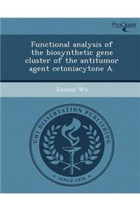 Functional Analysis of the Biosynthetic Gene Cluster of the Antitumor Agent Cetoniacytone a