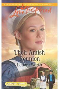 Their Amish Reunion