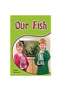 Our Fish Our Fish
