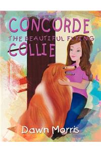 Concorde The Beautiful Flying Collie