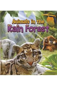 Animals in the Rain Forest