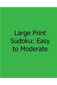 Large Print Sudoku