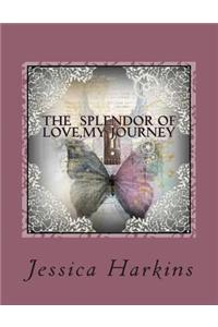 The Splendor of Love, My Journey