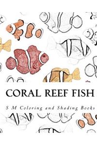 Coral Reef Fish