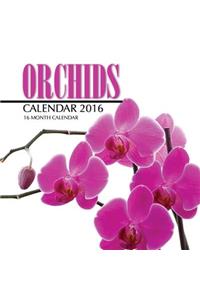 Orchids Calendar 2016