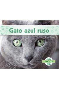 Gato Azul Ruso (Russian Blue Cats) (Spanish Version)