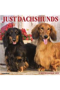 Just Dachshunds 2019 Wall Calendar (Dog Breed Calendar)