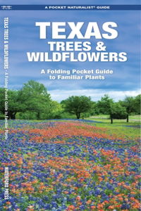 Texas Trees & Wildflowers