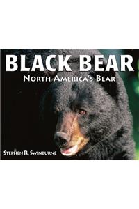 Black Bear