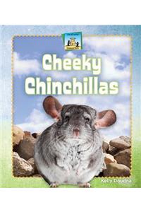 Cheeky Chinchillas