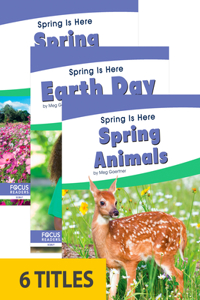 Spring Is Here (Set of 6)
