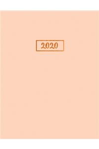 Rosa & Gold Planer 2020