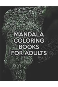 Mandala Coloring Books For Adults