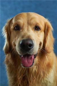 Golden Retriever Dog Pup Puppy Doggie Notebook Bullet Journal Diary Composition Book Notepad - Dreamy Eyes