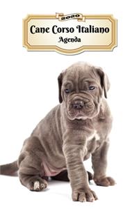2020 Cane Corso Italiano Agenda